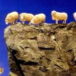 sheep-fall-off-fiscal-cliff-620x409