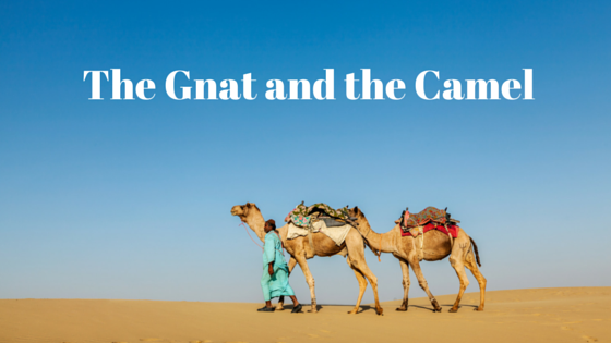 The Gnat and the Camel