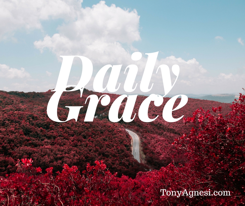 Daily Grace(2)