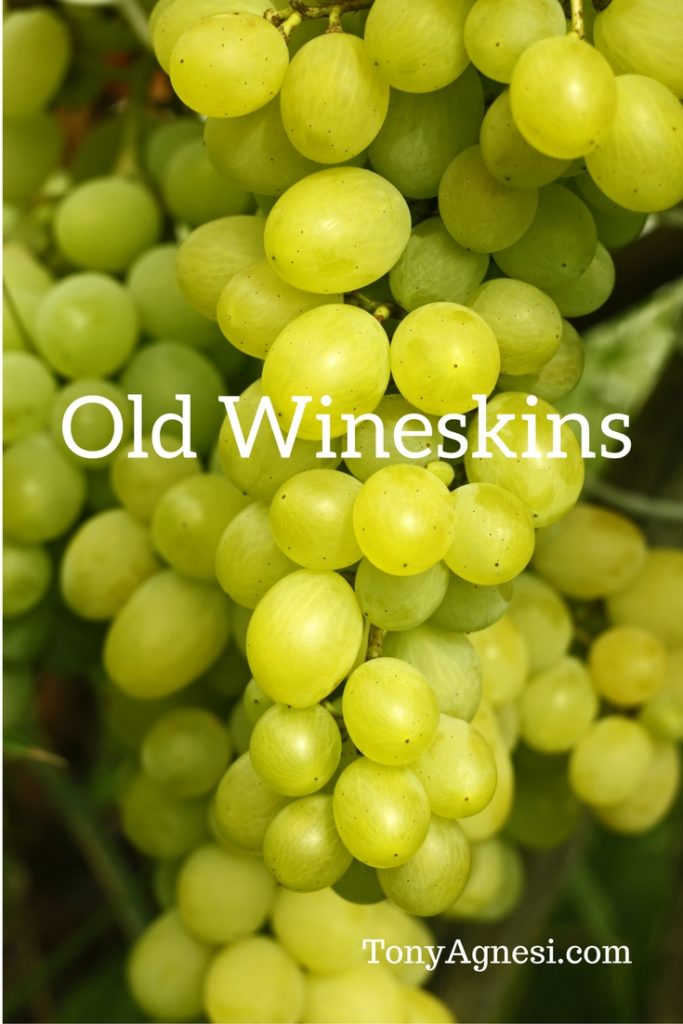 old-wineskins